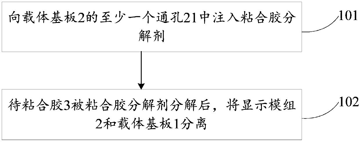 Method for separating display module group from carrier substrate