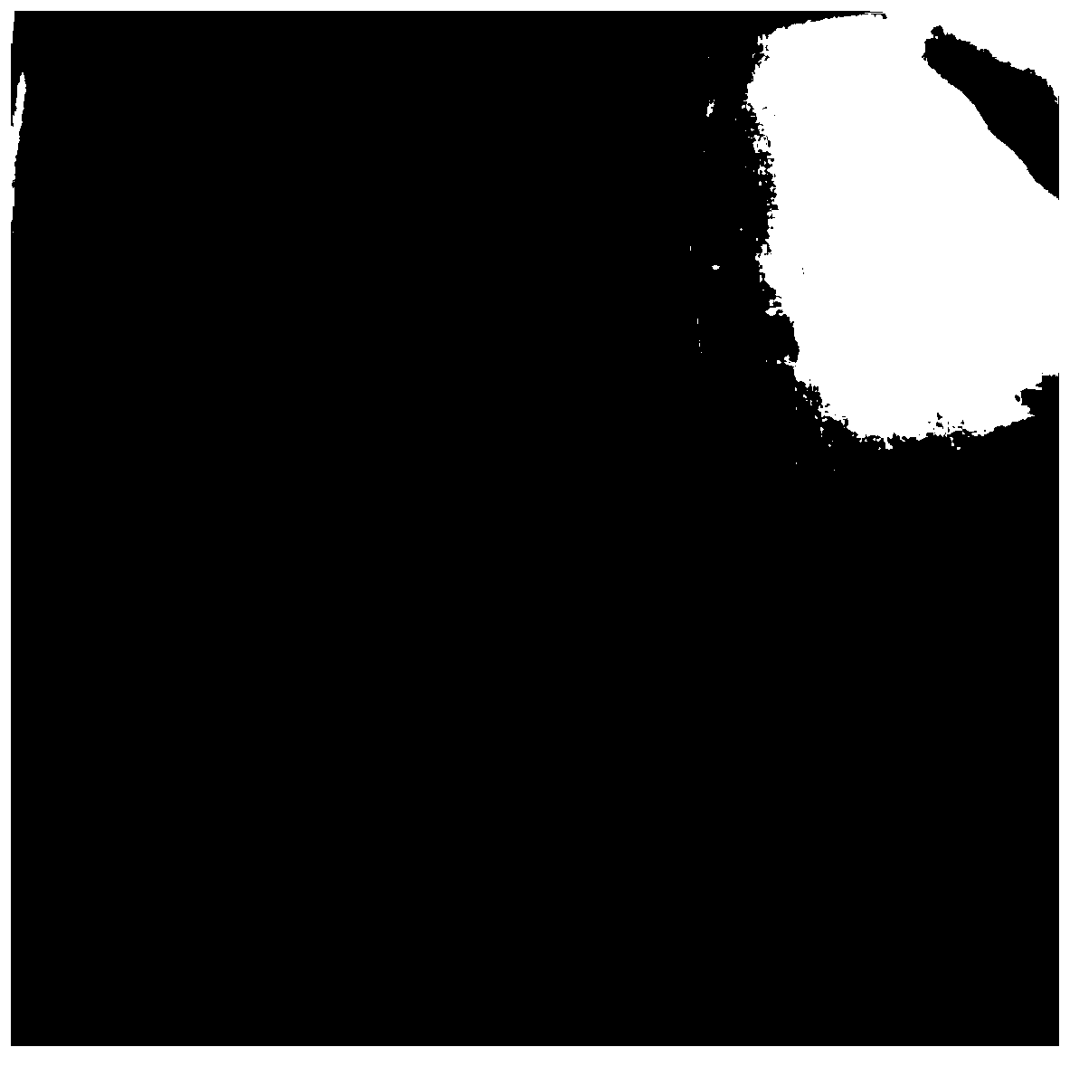 Carbon nanotube-water-soluble polymer composite flexible electric-heating film as well as preparation method and use thereof