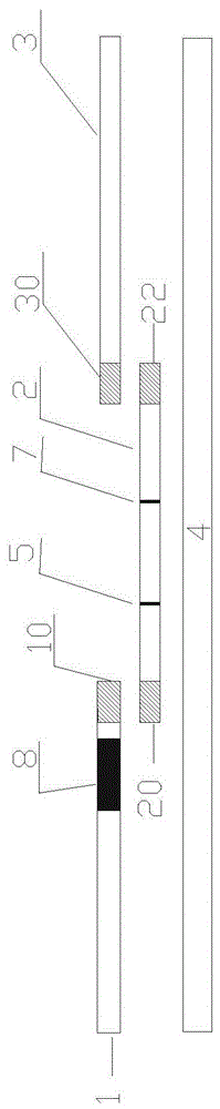 Activated fluorescent latex microsphere for procalcitonin fluorescent immunochromatographic test card