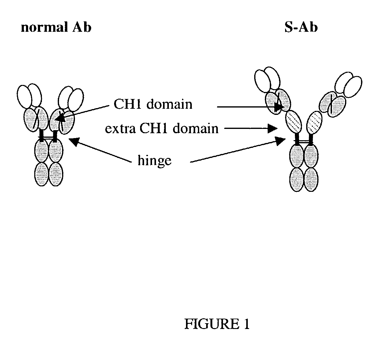 Modified "S" antibodies