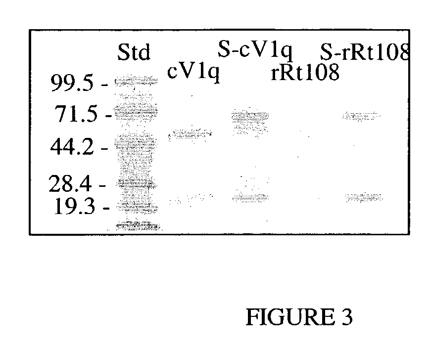 Modified "S" antibodies