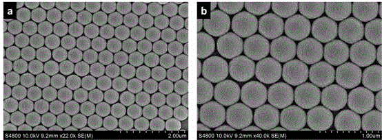 Preparation method of metal ordered array nano structure based on plasmon-model metal reinforced fluorescence