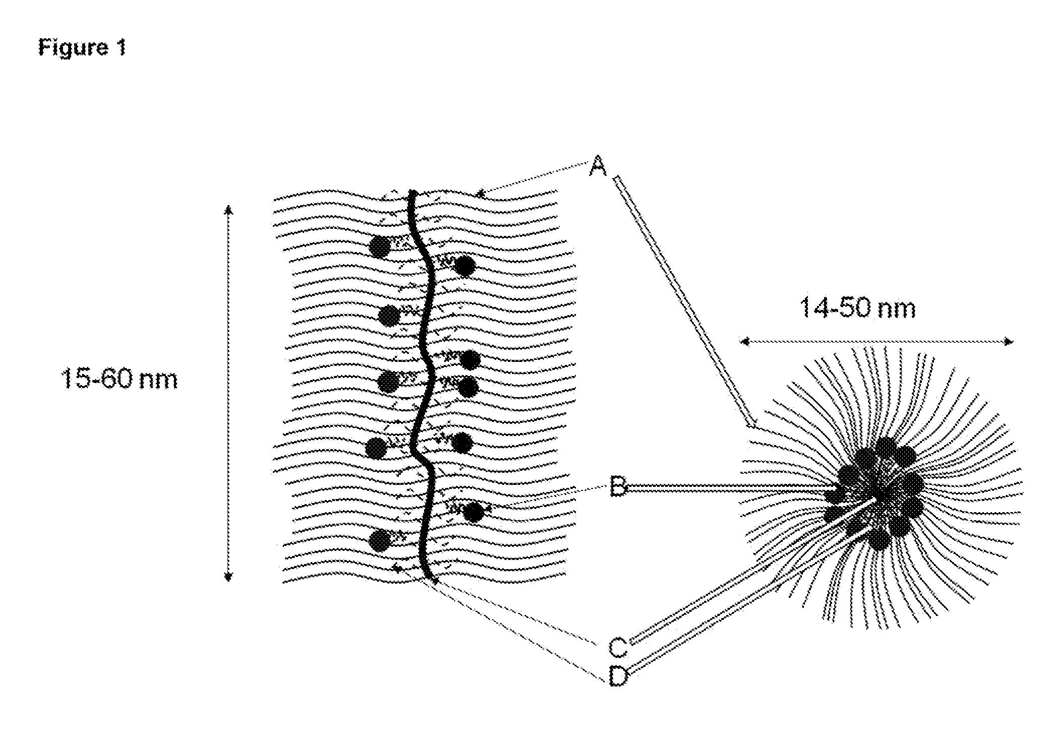 Oligonucleotide Core Carrier Compositions for Delivery of Nucleic Acid-Containing Therapeutic Agents, Methods of Making and Using the Same