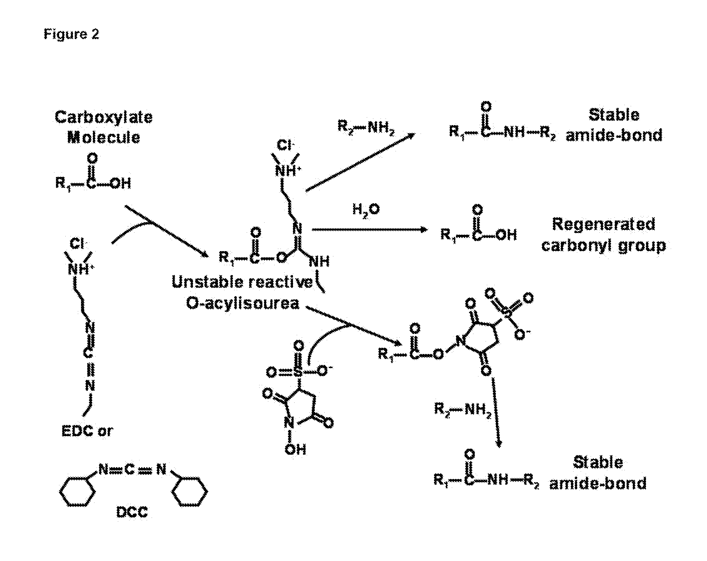 Oligonucleotide Core Carrier Compositions for Delivery of Nucleic Acid-Containing Therapeutic Agents, Methods of Making and Using the Same