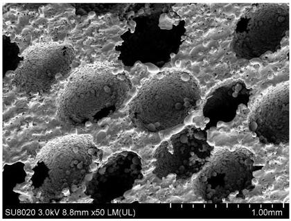 Preparation method of porous titanium and titanium alloy