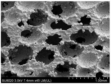 Preparation method of porous titanium and titanium alloy