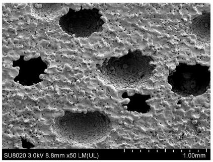 Preparation method of porous titanium and titanium alloy