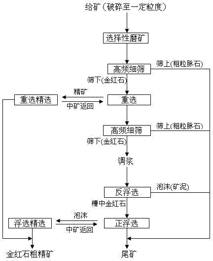 Rutile roughing technology consisting of selective ore grinding, coarse particle gravity separation and fine particle floatation