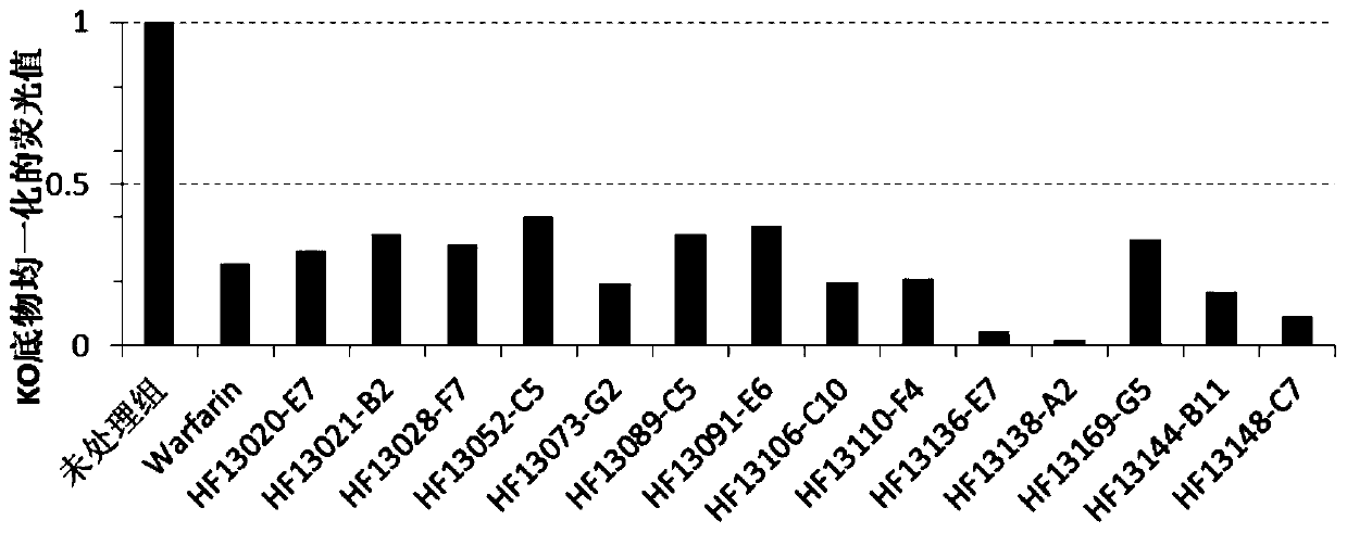 Screening method and application of small molecular compound for targeted inhibition of vitamin K dependent gamma-glutamyl carboxylase