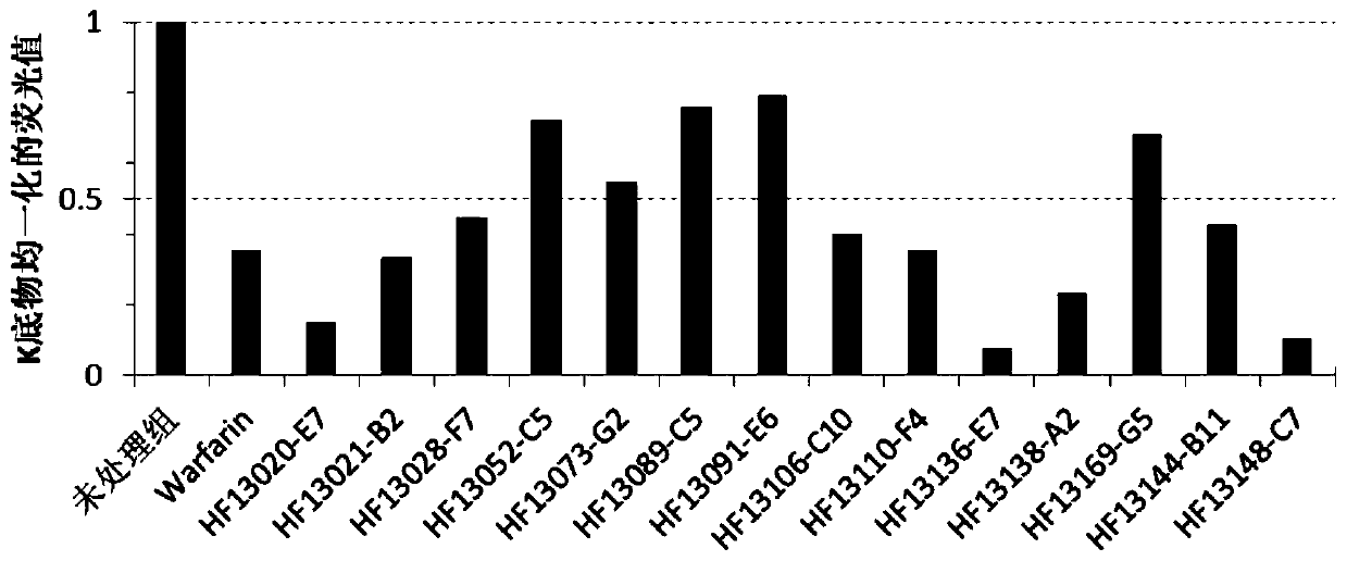 Screening method and application of small molecular compound for targeted inhibition of vitamin K dependent gamma-glutamyl carboxylase