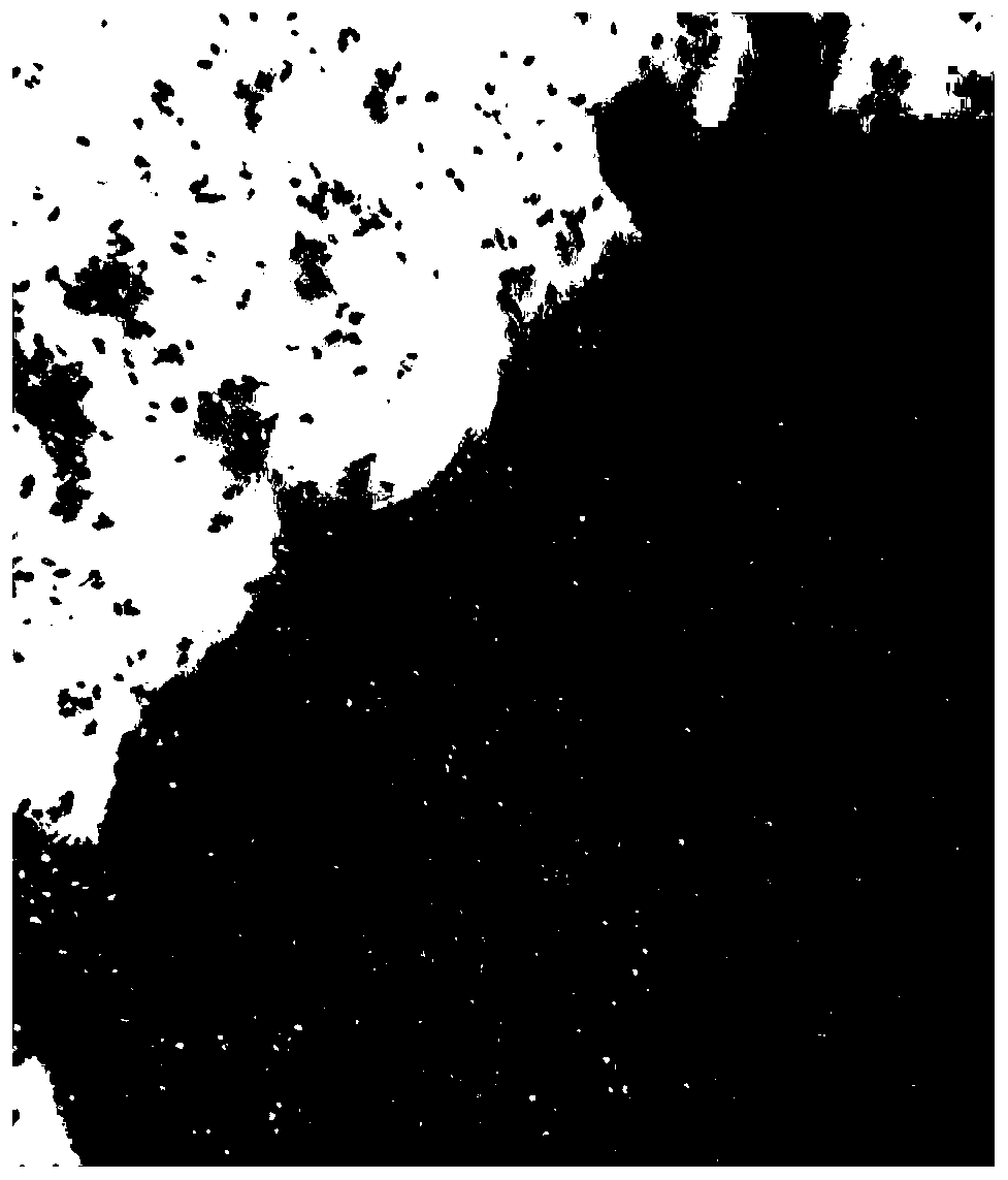 Method for industrially producing aphidius gifuensis ashmaed product