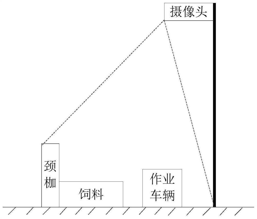 Feed processing supervision method, system and device and storage medium