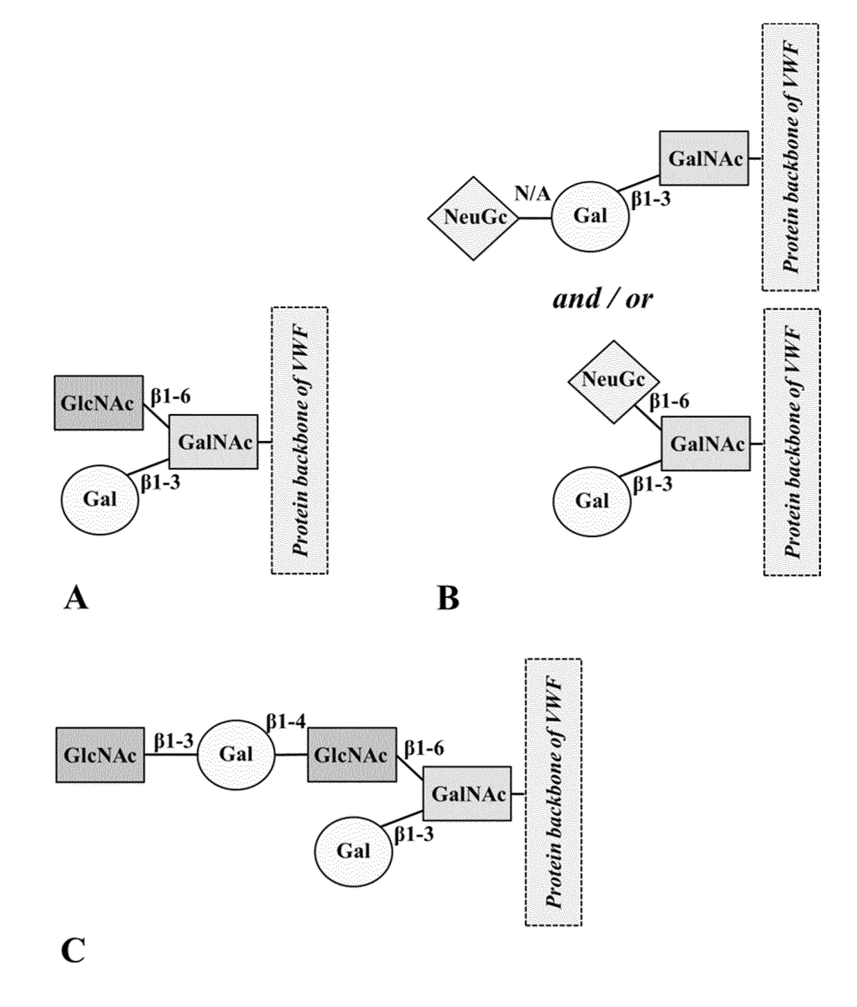 Modified von willebrand factor having improved half-life