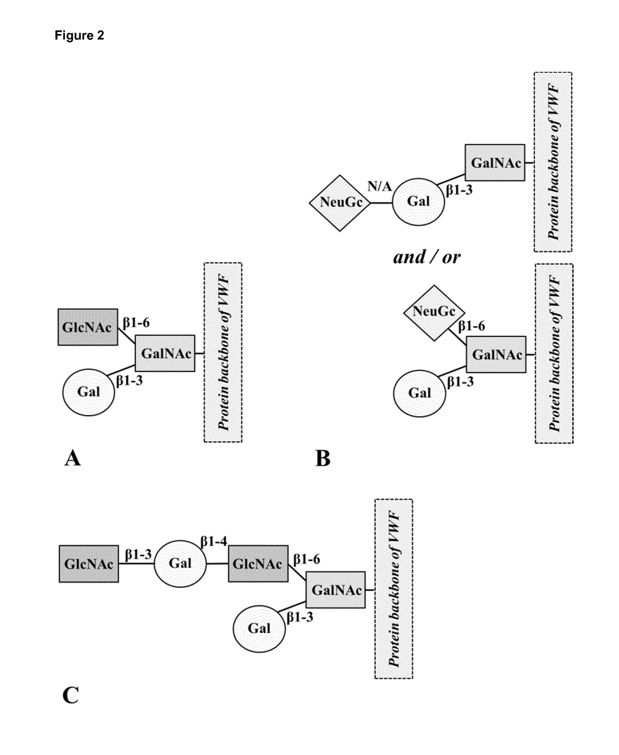 Modified von willebrand factor having improved half-life