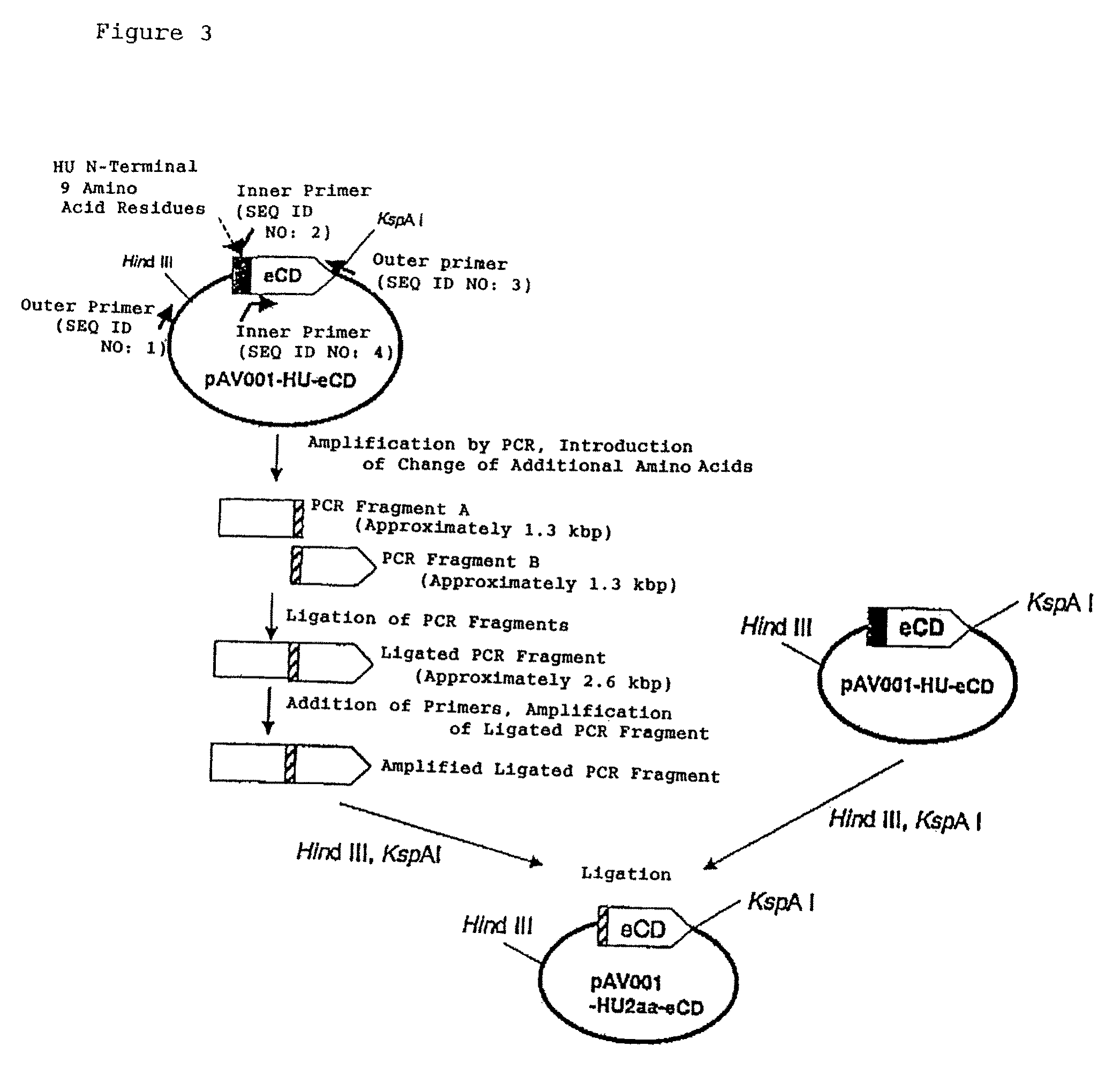 Method of constructing gene transport support