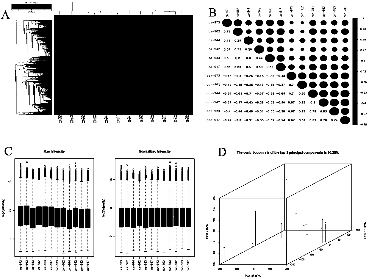 Application of hsa - circRNA6448-14 in diagnosis and prognosis prediction of esophageal squamous cell carcinoma