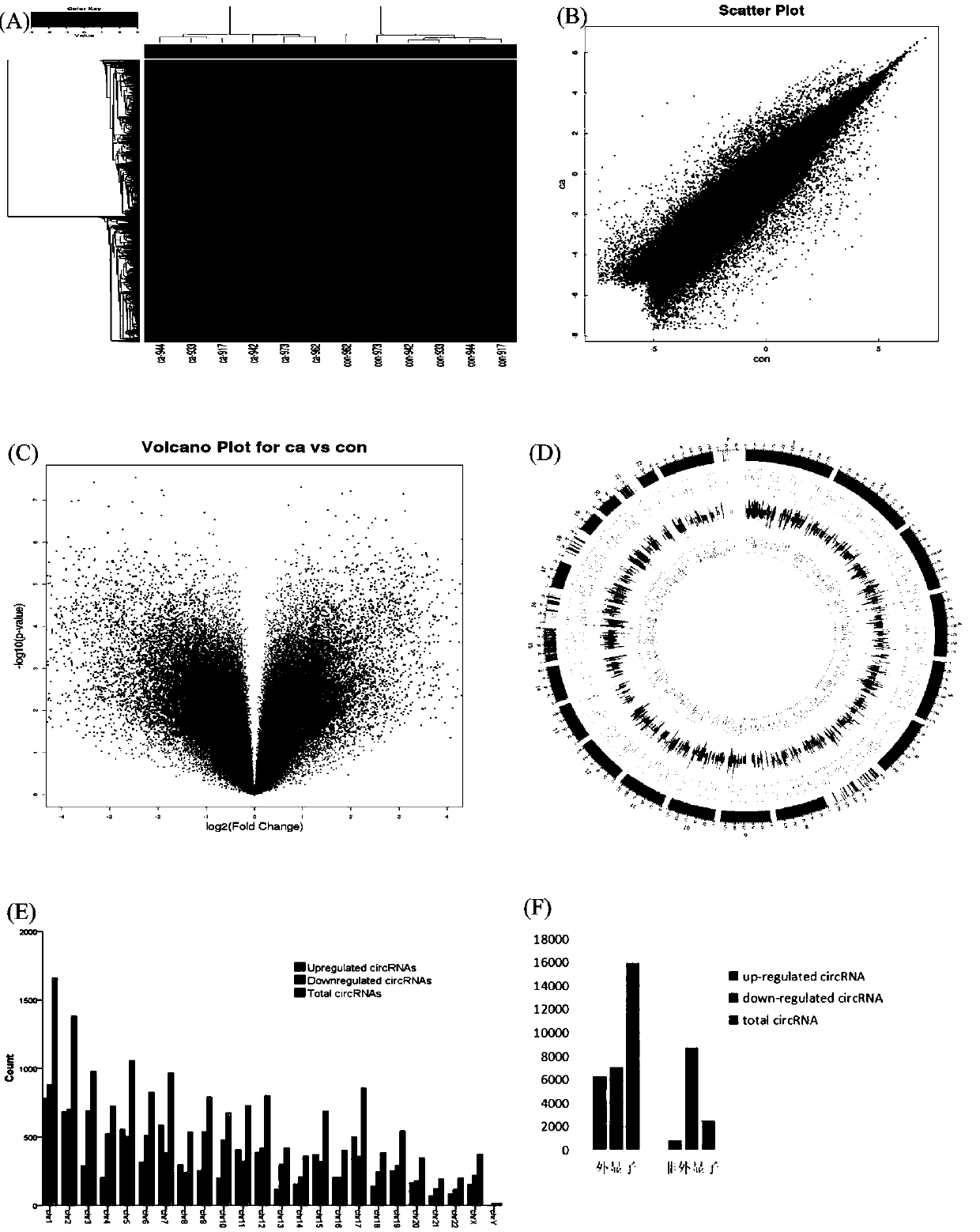 Application of hsa - circRNA6448-14 in diagnosis and prognosis prediction of esophageal squamous cell carcinoma