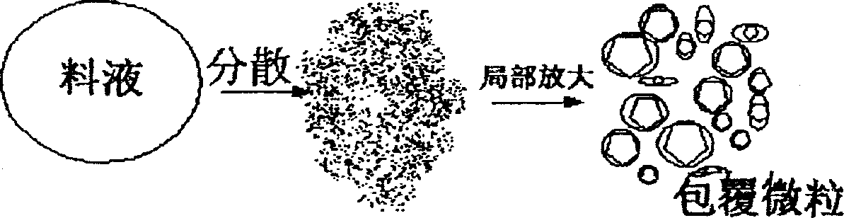 Process for preparing carbon coated graphite microparticles