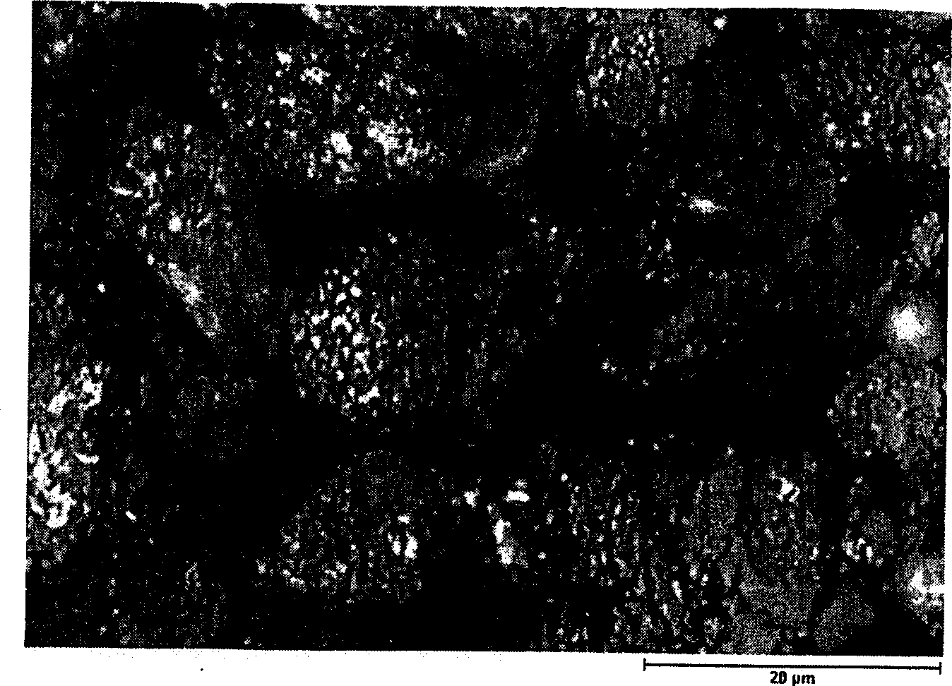 Process for preparing carbon coated graphite microparticles