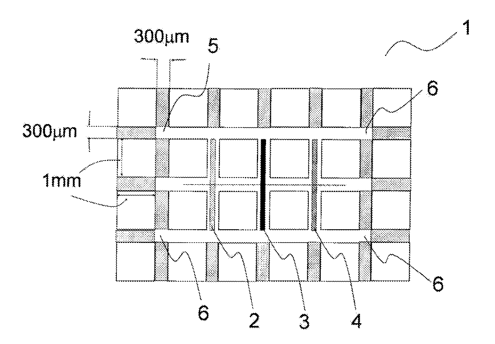 Capillary for immunoassay, and capillary immunoassay method using same