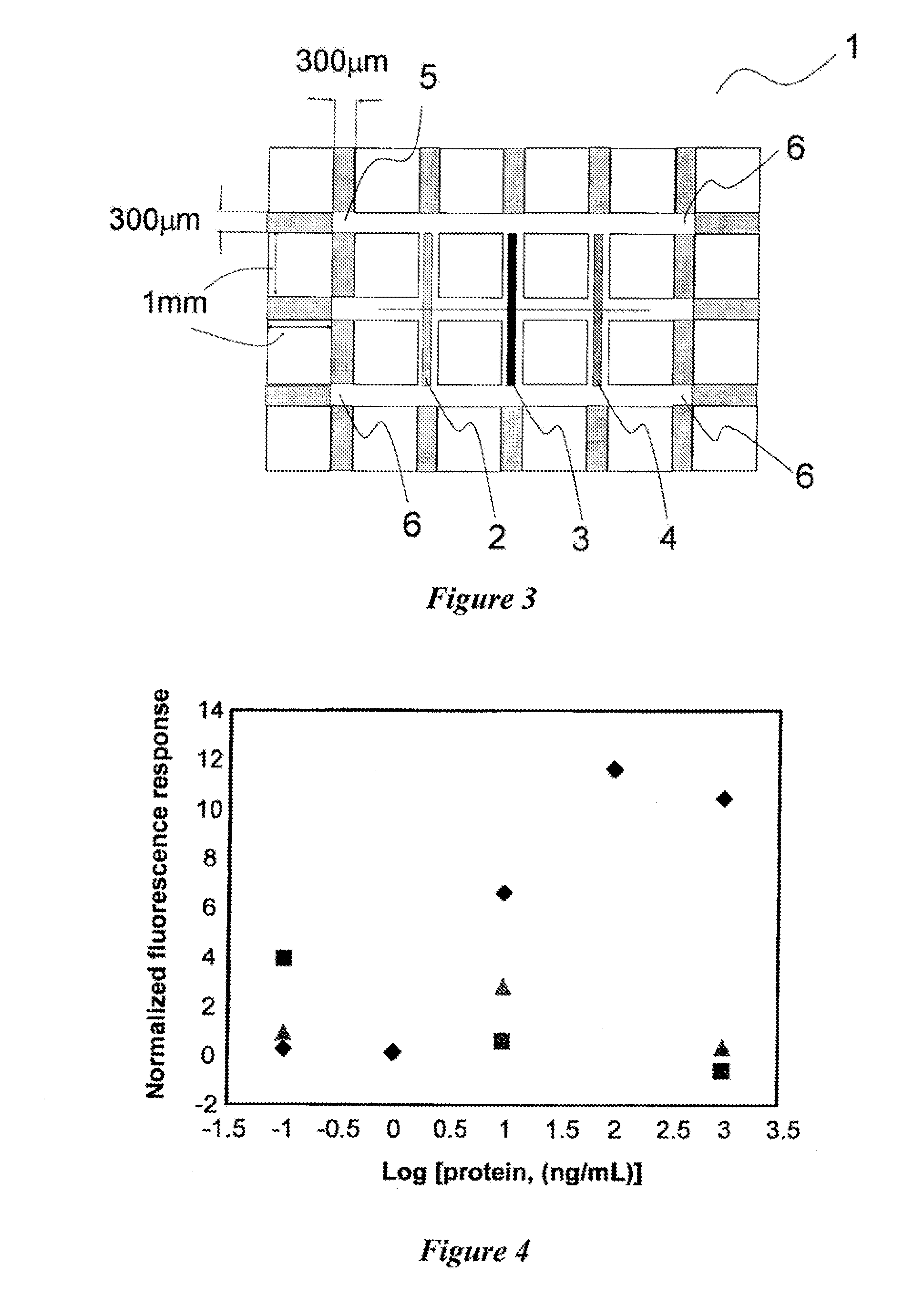 Capillary for immunoassay, and capillary immunoassay method using same