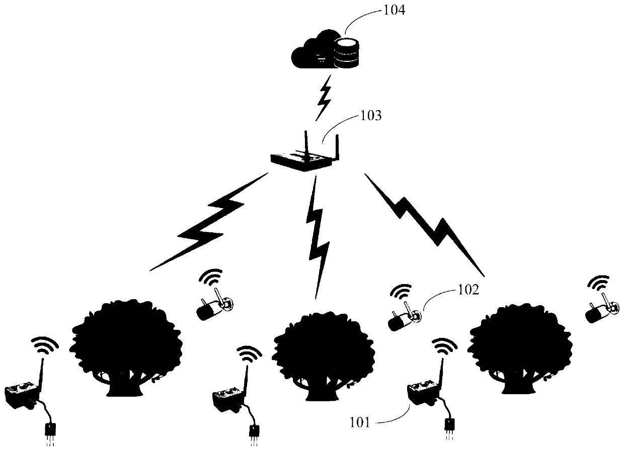 Litchi growth condition whole-process monitoring method and system, cloud server and storage medium