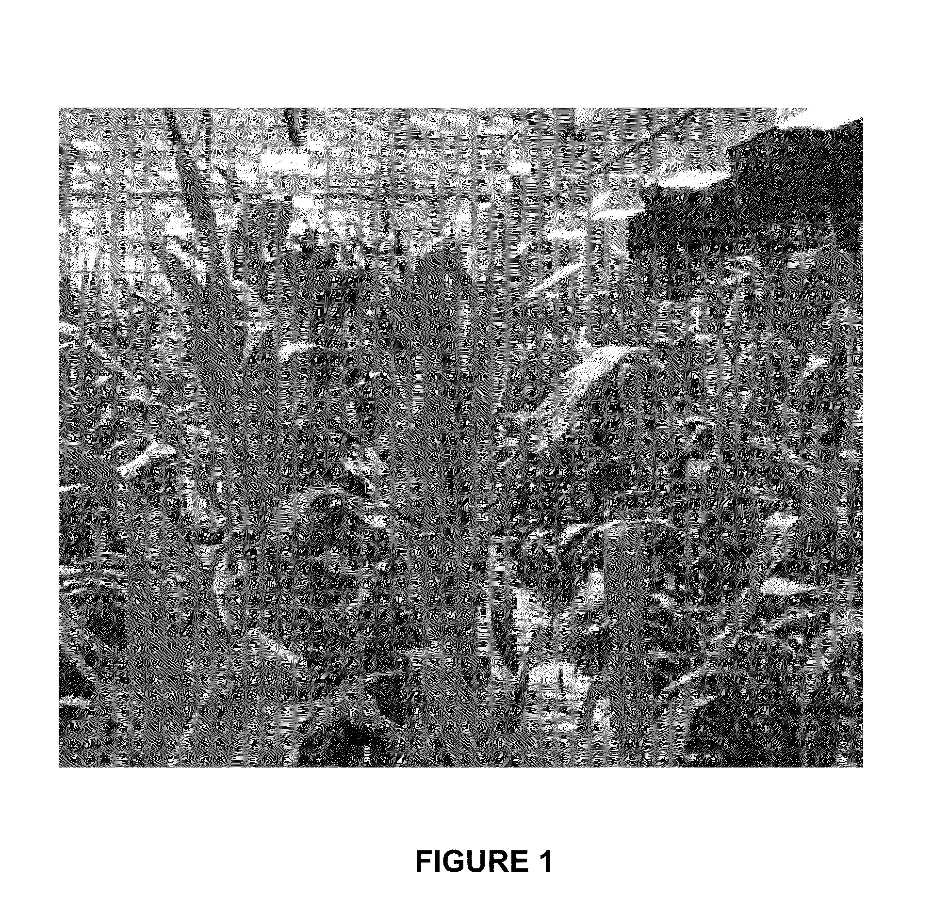 Method for Optimization of Transgenic Efficacy Using Favorable Allele Variants