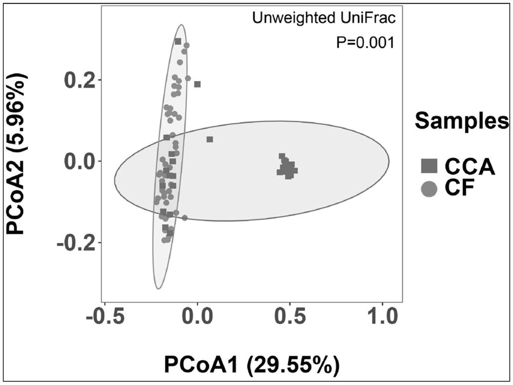 Biliary duct cancer non-invasive marker based on relative abundance of intestinal microorganisms, screening method and application