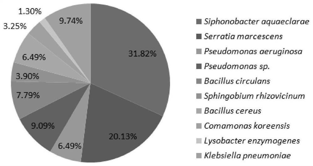 A method for isolation and identification of cellulose-degrading bacteria in the intestinal tract of monochamus monochamus larvae