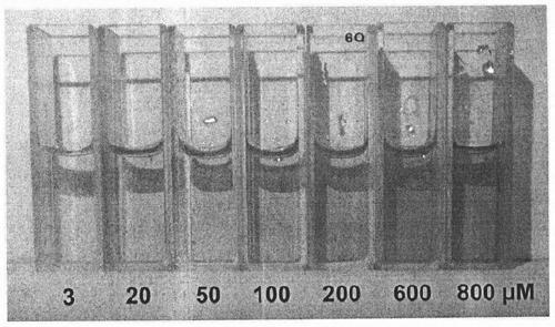 Hydrogen peroxide detection method based on ferriporphyrin two-dimensional MOFs enzyme-like catalysis