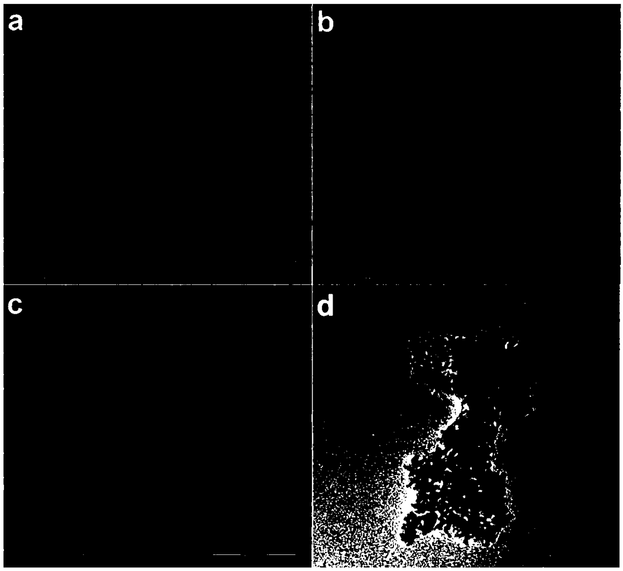 Ordered ultrathin film electrode as well as preparation method and application thereof