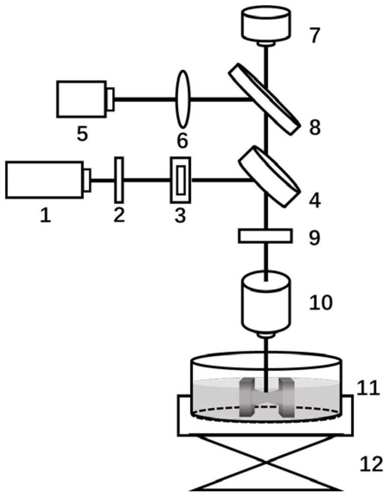 Method and system for amorphizing metal material by adopting ultrafast pulse laser