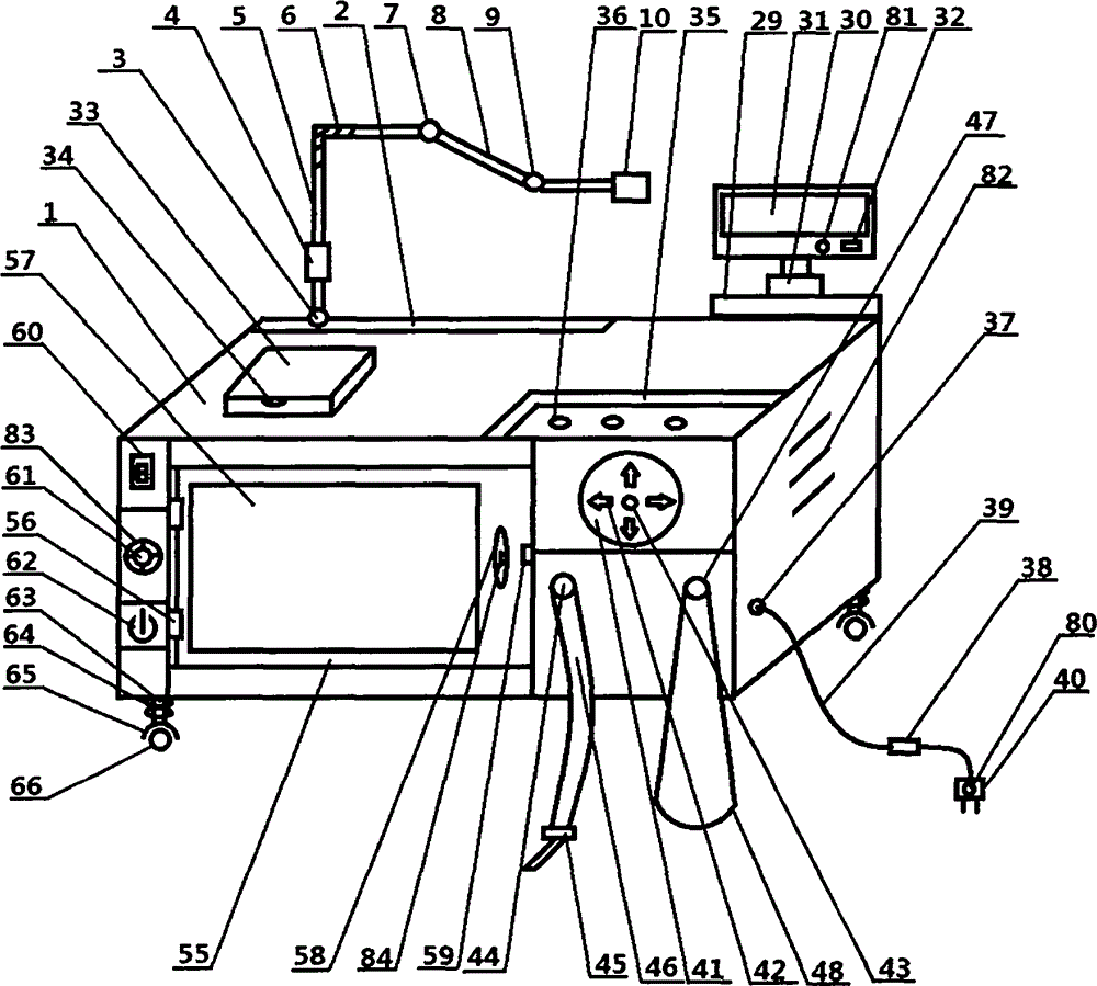 Female genital tract tumor treatment device