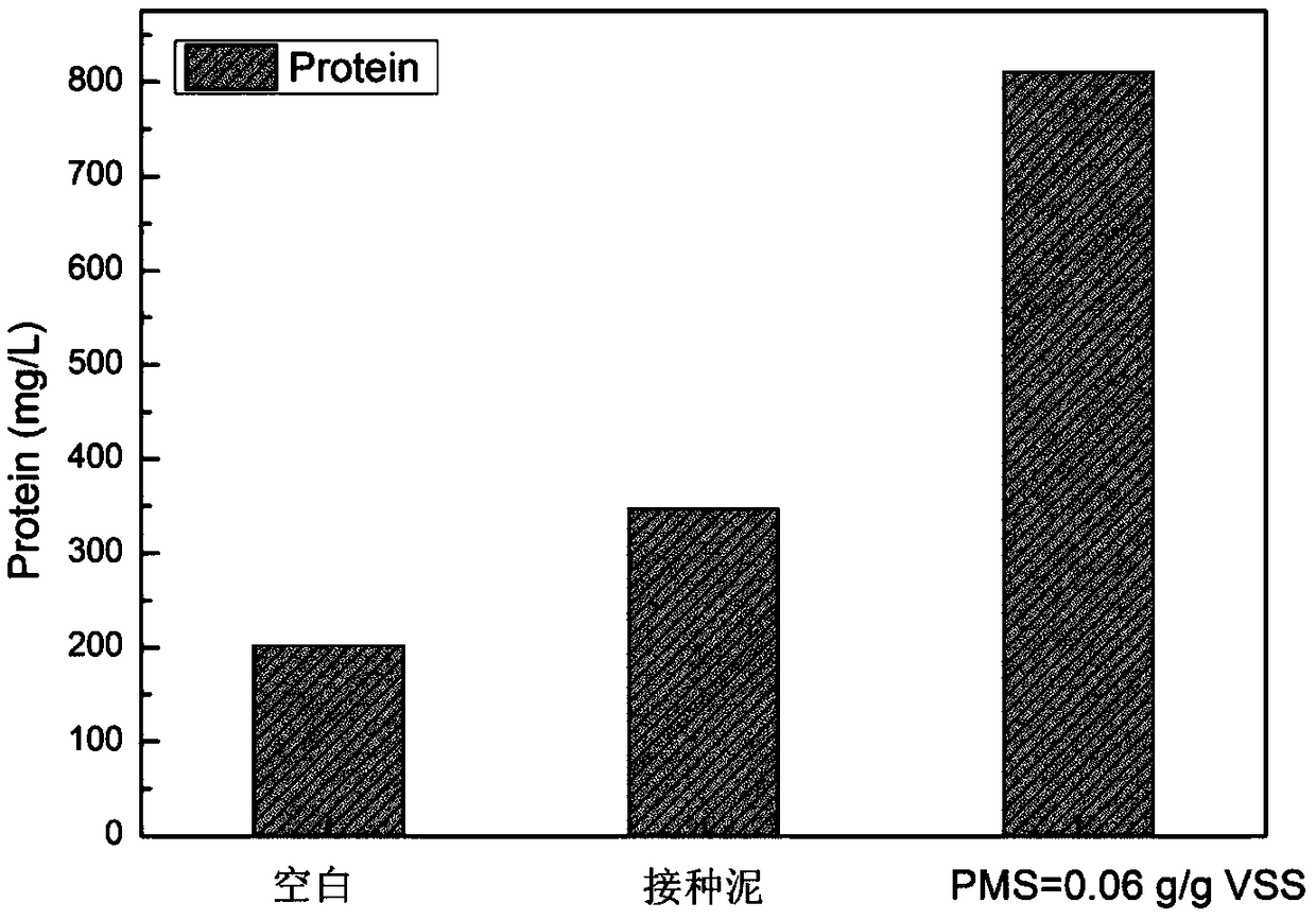 Method for promoting hydrogen production by anaerobic fermentation of remaining activated sludge