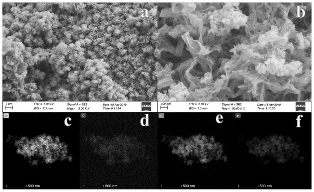 A kind of porous biomass carbon-based phosphate adsorbent and its preparation method and application