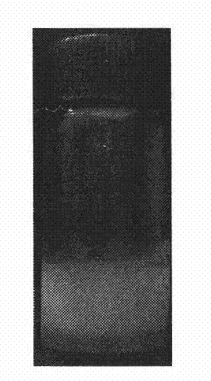 Preparation method of coumarin-modified hyaluronic acid graft micelle emulsifier