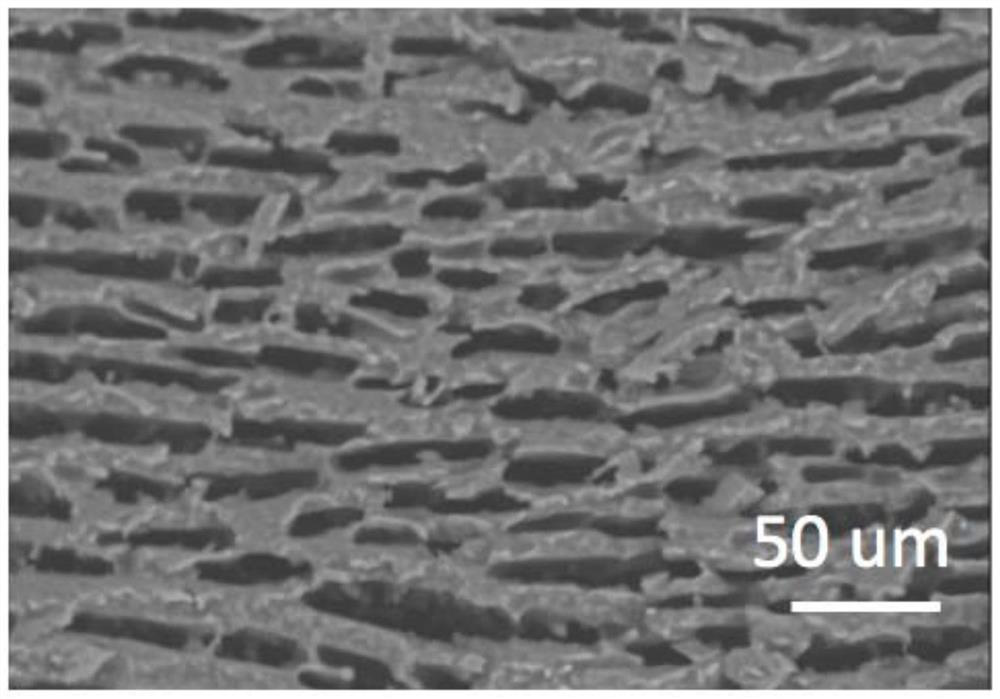 Preparation method, product and application of porous resin fiber with oriented pore structure