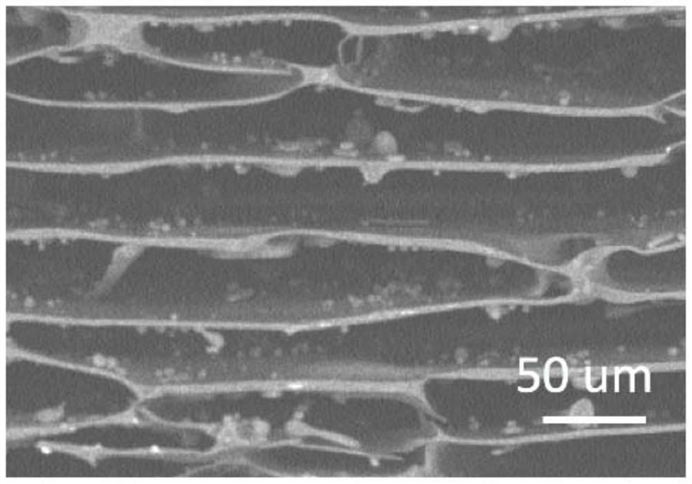 Preparation method, product and application of porous resin fiber with oriented pore structure