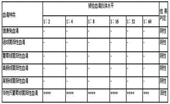 A kind of staphylococcus warnerii indirect hemagglutination detection kit and its application