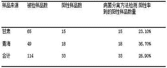 A kind of staphylococcus warnerii indirect hemagglutination detection kit and its application