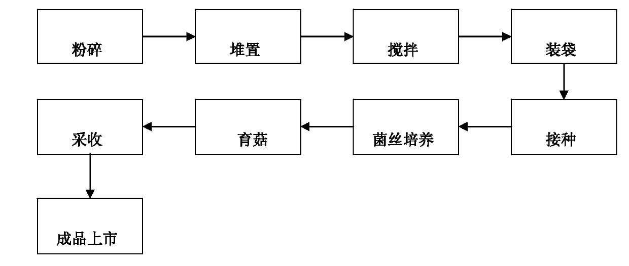 Culture medium for pleurotus eryngii and preparation method thereof