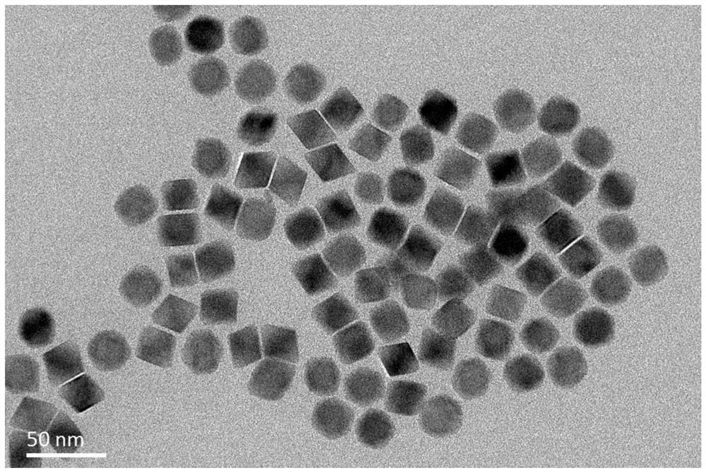 LiErF4-based core-shell structure up-conversion nanometer luminescent material and preparation method thereof