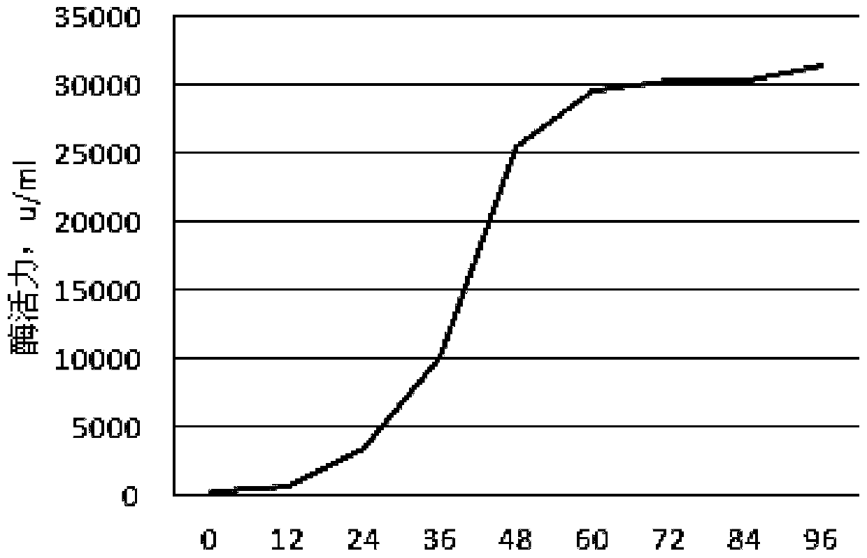 Bacillus licheniformis with high yielding of protease and fermentation enzyme-production method thereof