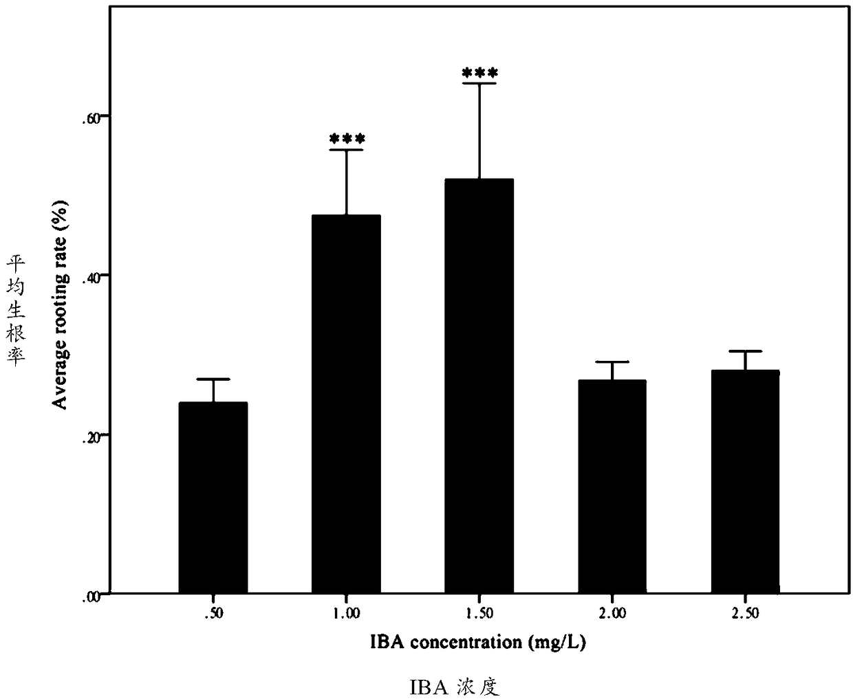 Somatic embryogenesis and plant regeneration culturing method for Koelreuteria paniculata