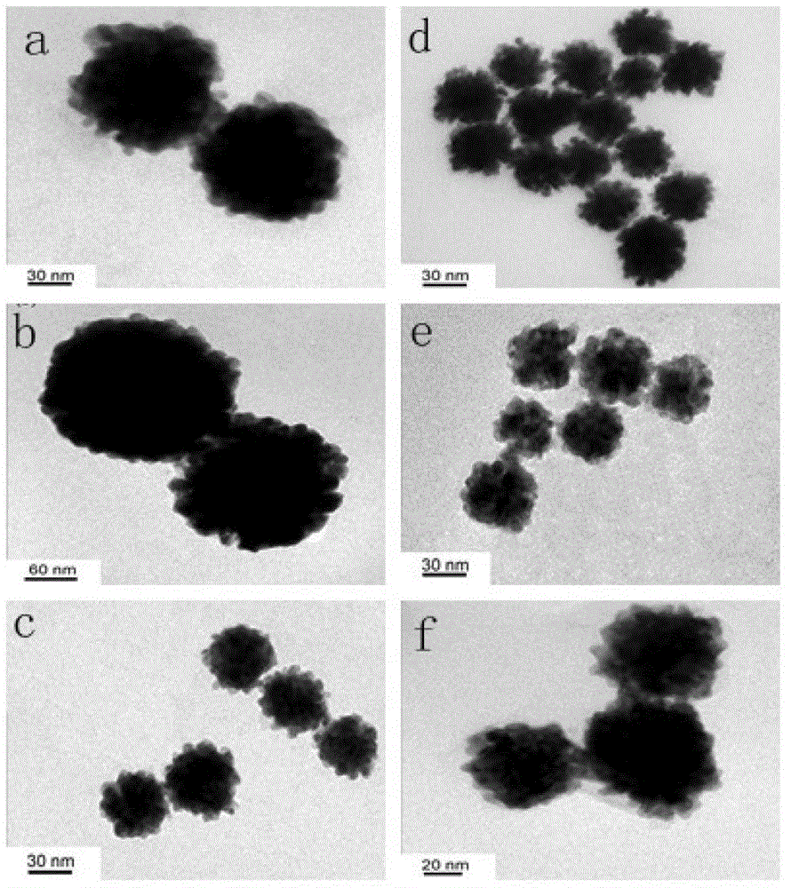 Gold nanoflower preparing method and application of gold nanoflowers