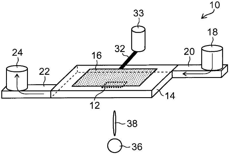 Liquid ejection head, liquid ejection apparatus and inkjet printing apparatus