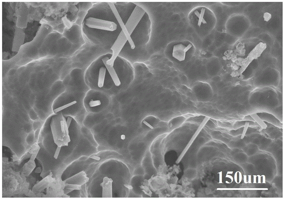 In-situ synthesized spinel whisker reinforced aluminum-based composite foam and preparation method thereof