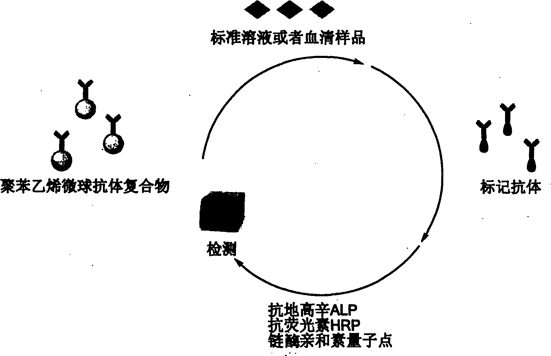 Homogeneous phase multi-index fluorescence/chemiluminescence measuring method and application thereof