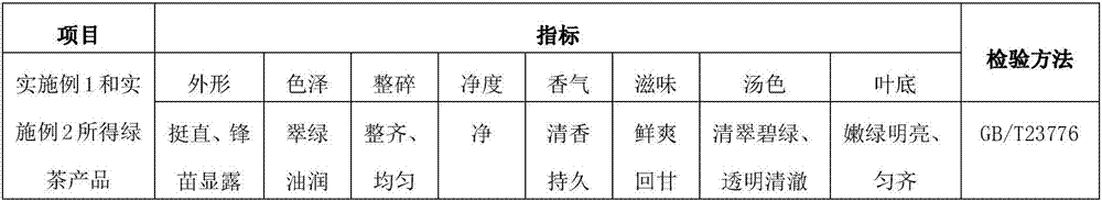 Preparation technology of organic green tea