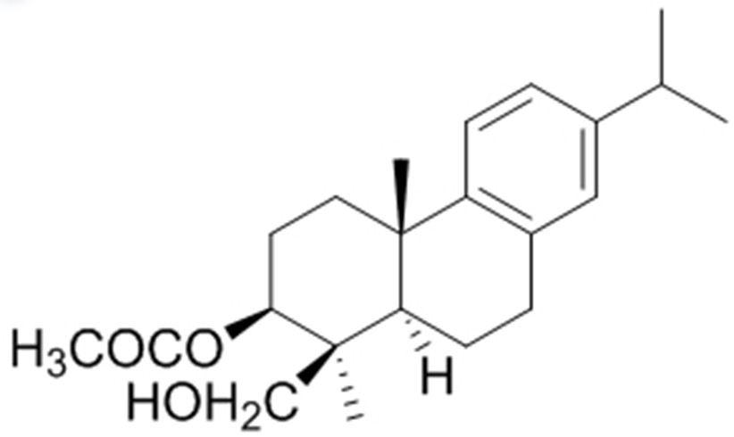 Preparation method and application of abietane diterpenes in schizonepeta bracteata